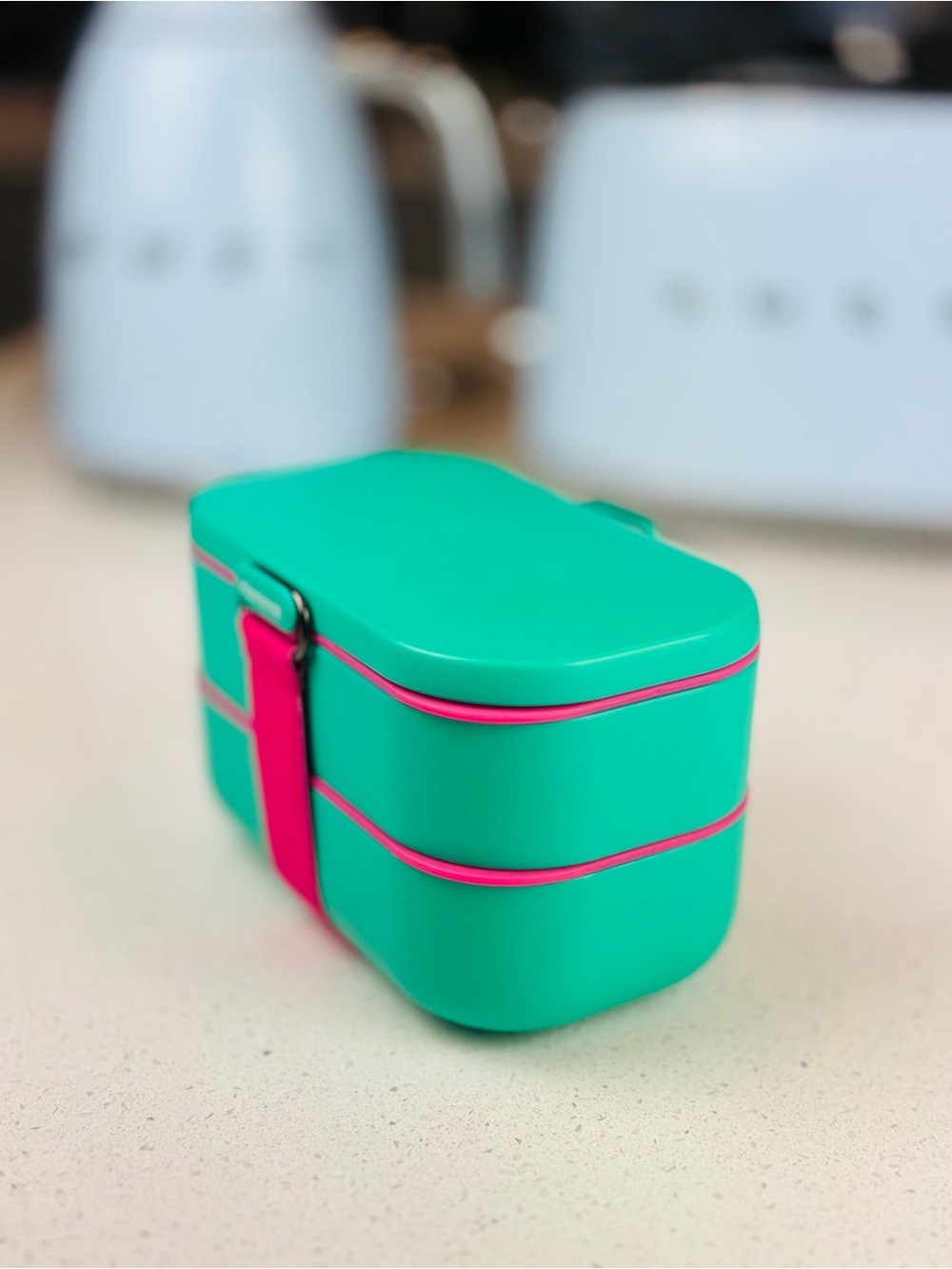 Bento lunch box pink green - back to school food container